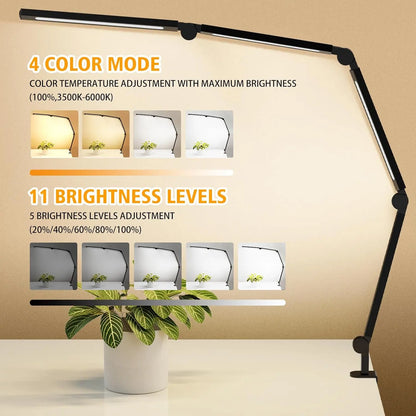 Segrass Bright LED Desk Lamp