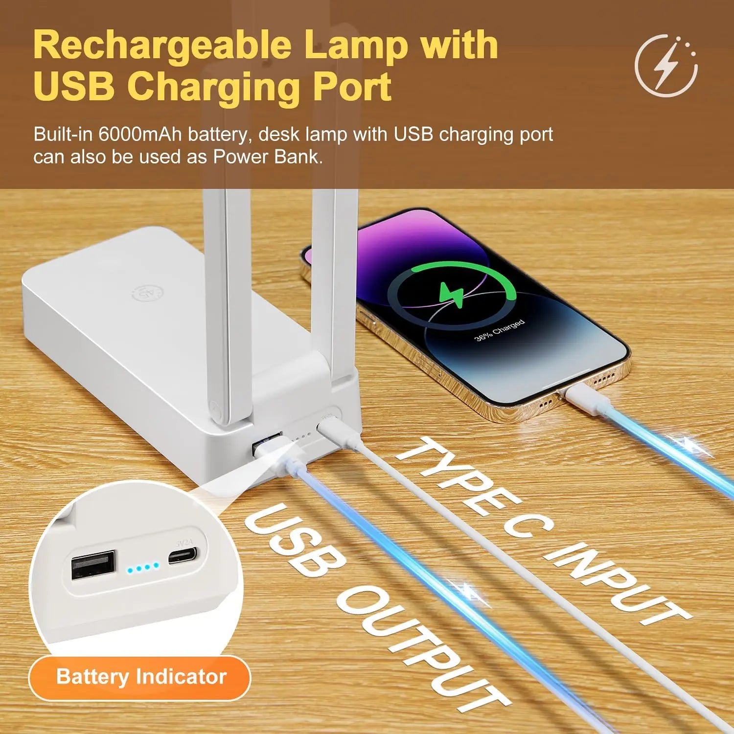 Desk Light with USB Charging Port